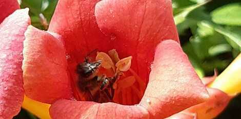 Alltag in Wabenhausen